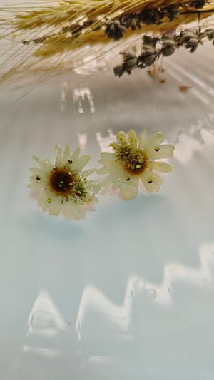 🌼 Sărutul Soarelui: Cercei Stud cu Margarete Naturale - Thumbnail 1